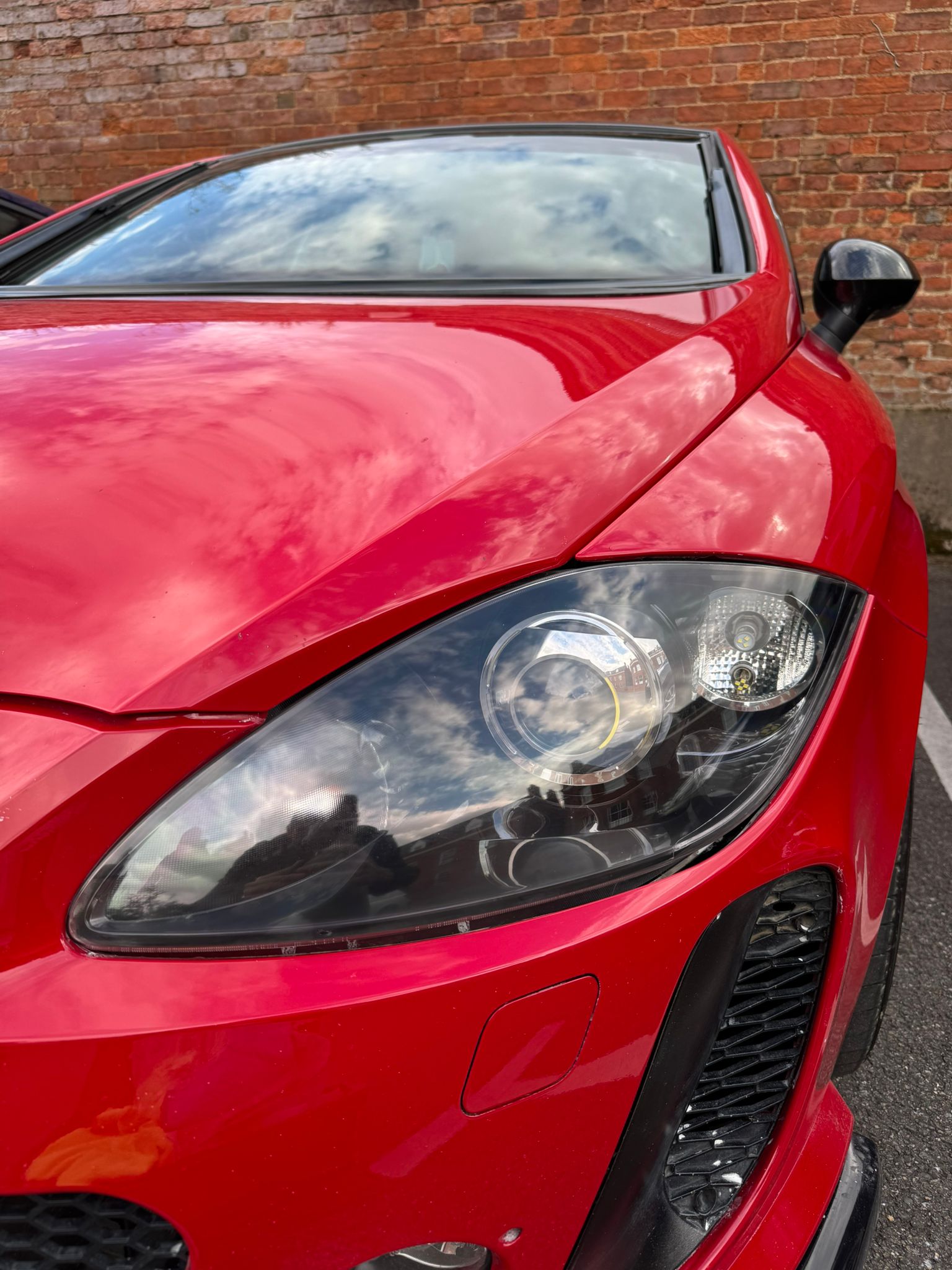 Swirled and oxidized paint before correction